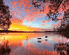 Ladda in bild i Galleri Viewer, Solnedgång på sjön