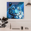 Blue Tiger (CH0799)