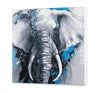 Elephant (Cdc0180)