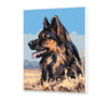 Ladda in bild i Galleri Viewer, Sheepdog Dog (NK0456)