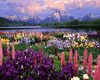 Load image into Gallery viewer, Mountain Flowers