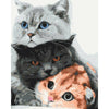 Load image into Gallery viewer, Three Kittens
