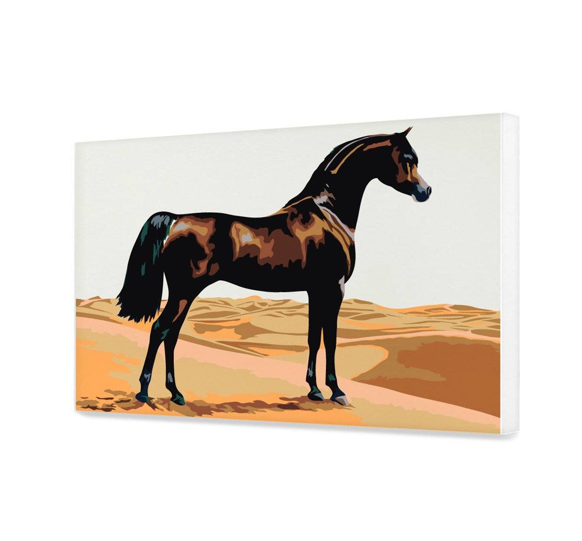 Malování podle čísel Mustang Kůň