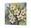 Daffodils (SC0869)