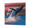 Dancing Whale (SC0844)