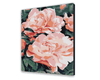 Malovani podle cisel Čajová Růže