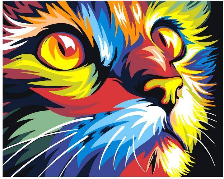 Multicolored Cat