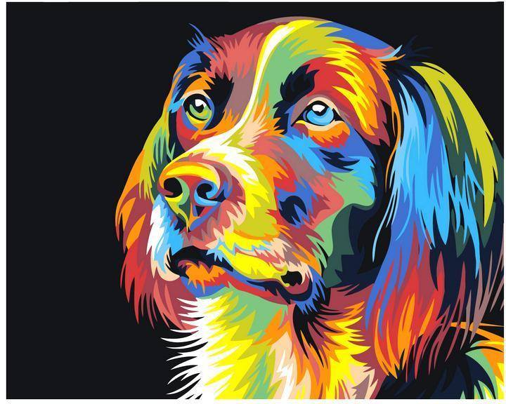 Colored Dog