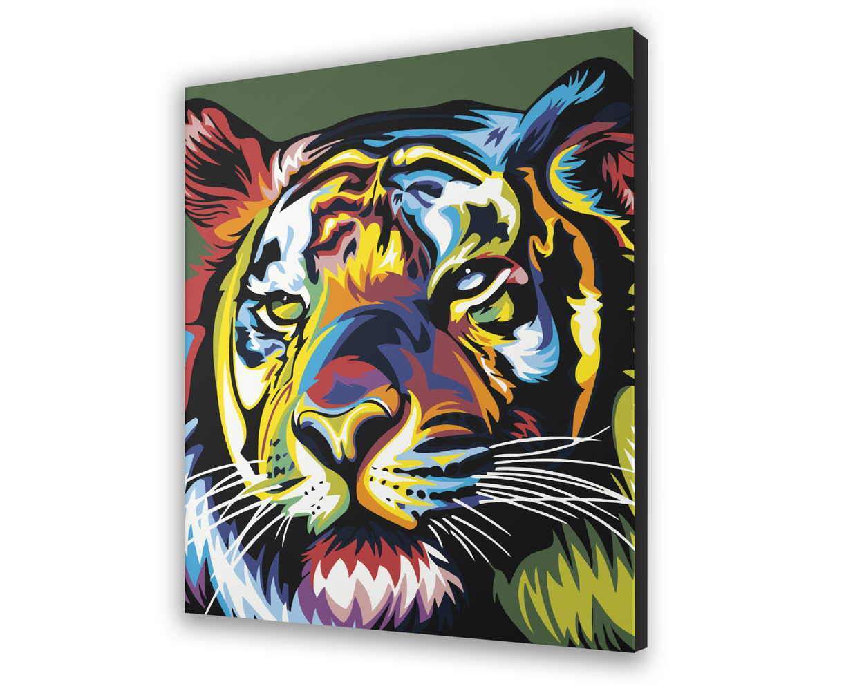 Maluj podle čísel Barevný Tygr