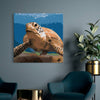 Load image into Gallery viewer, Turtle (Pc0594)