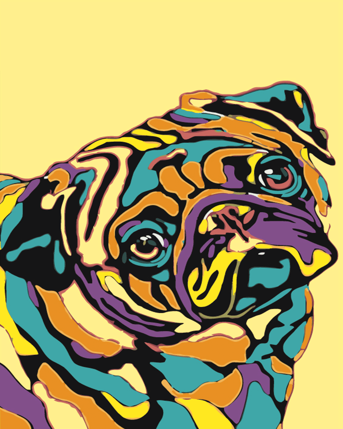 Colored Pug