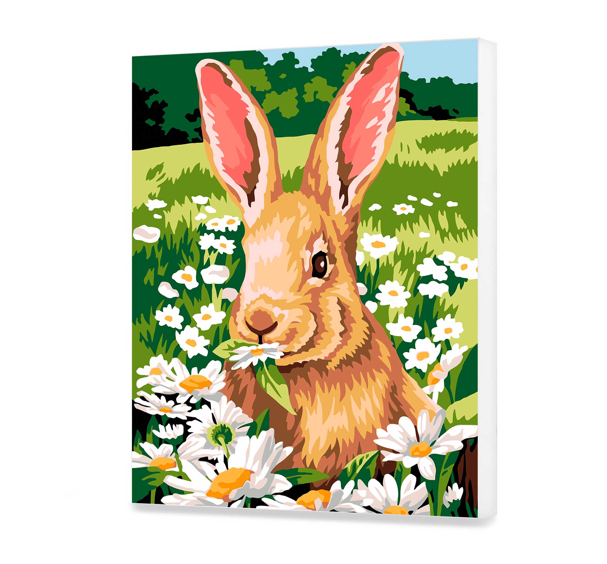 A fluffy rabbit among the chamomile