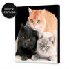 Load image into Gallery viewer, Three sweet cats