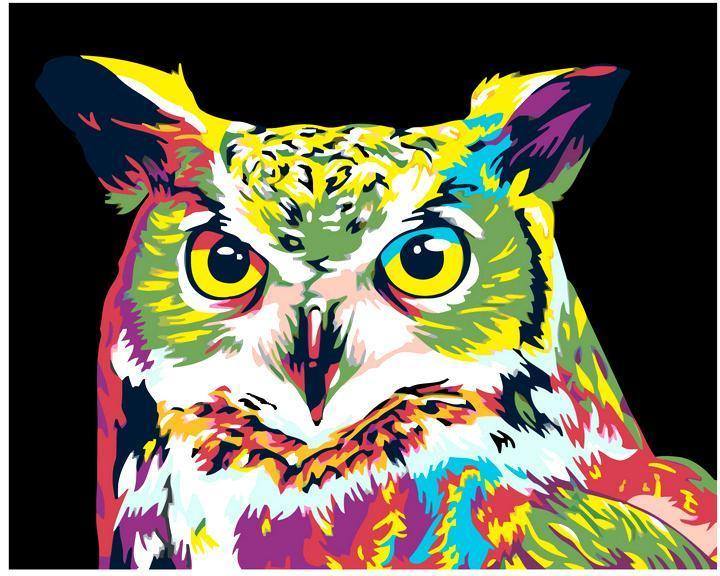 Colored Owl
